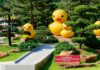 Take a trip around the world at Udon Thani’s horticultural expo