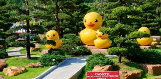Take a trip around the world at Udon Thani’s horticultural expo