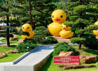 Take a trip around the world at Udon Thani’s horticultural expo