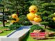 Take a trip around the world at Udon Thani’s horticultural expo PAAAAA1BMVEWurq51dlI4AAAAAXRSTlMmkutdmwAAAA5JREFUKM9jGAWjYJABAAKUAAHoEAeuAAAAAElFTkSuQmCC