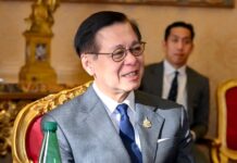 Thai FM urges China to keep tourist warnings proportionate to situation