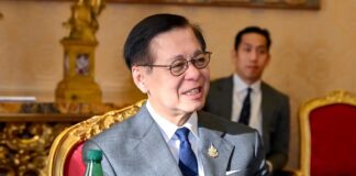 Thai FM urges China to keep tourist warnings proportionate to situation
