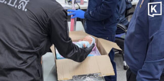 Drug-filled dolls and parcels from Europe seized in Bangkok Drug-filled dolls and parcels from Europe seized in Bangkok