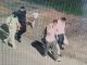 Five suspects flee Thailand after 37-million-baht robbery PAAAAA1BMVEWurq51dlI4AAAAAXRSTlMmkutdmwAAAA5JREFUKM9jGAWjYJABAAKUAAHoEAeuAAAAAElFTkSuQmCC