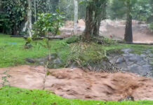 Flash flood hits Chiang Mai waterfall, visitors warned
