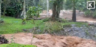 Flash flood hits Chiang Mai waterfall, visitors warned