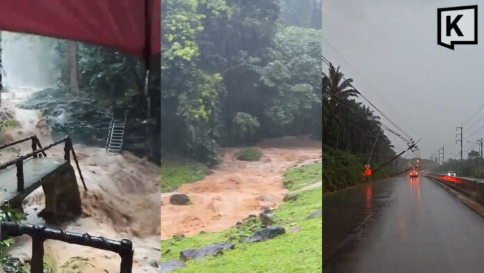 Heavy rain triggers flood warnings in Krabi as power poles fall Heavy rain triggers flood warnings in Krabi as power poles fall