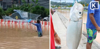 Phuket flood turns road into fishing spot as locals cast nets Phuket flood turns road into fishing spot as locals cast nets