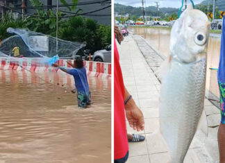 Phuket flood turns road into fishing spot as locals cast nets Phuket flood turns road into fishing spot as locals cast nets