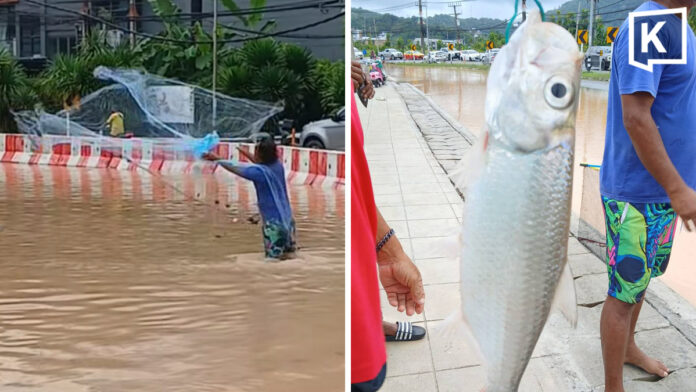 Phuket flood turns road into fishing spot as locals cast nets