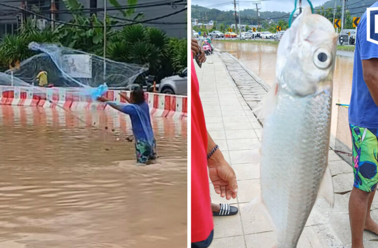 Phuket flood turns road into fishing spot as locals cast nets Phuket flood turns road into fishing spot as locals cast nets