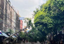 Power pole crashes down as strong winds and heavy rain hit Bangkok Power pole crashes down as strong winds and heavy rain hit Bangkok