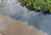 Prachin Buri residents suspect chemicals in foul-smelling black water Prachin Buri residents suspect chemicals in foul-smelling black water