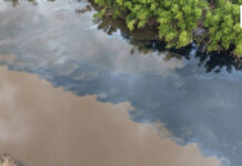 Prachin Buri residents suspect chemicals in foul-smelling black water Prachin Buri residents suspect chemicals in foul-smelling black water