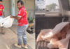 Rescuers stunned as ‘dead’ dog wakes up on truck in Kamphaeng Phet Rescuers stunned as ‘dead’ dog wakes up on truck in Kamphaeng Phet