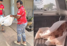 Rescuers stunned as ‘dead’ dog wakes up on truck in Kamphaeng Phet Rescuers stunned as ‘dead’ dog wakes up on truck in Kamphaeng Phet