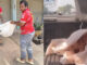 Rescuers stunned as ‘dead’ dog wakes up on truck in Kamphaeng Phet Rescuers stunned as ‘dead’ dog wakes up on truck in Kamphaeng Phet