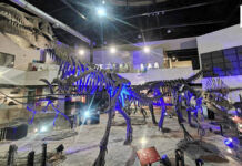 Thailand offers free entry to 5 geology museums on 13 October