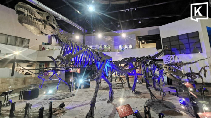 Thailand offers free entry to 5 geology museums on 13 October