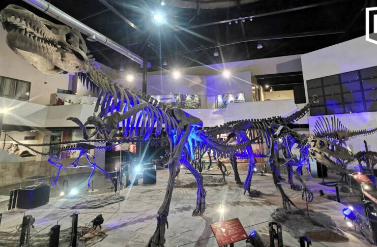 Thailand offers free entry to 5 geology museums on 13 October