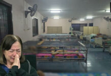 Thailand orders elderly care center with caged beds shut Thailand orders elderly care center with caged beds shut
