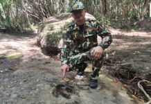 Three more possible dinosaur footprints found in Udon Thani forest