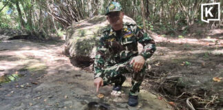 Three more possible dinosaur footprints found in Udon Thani forest