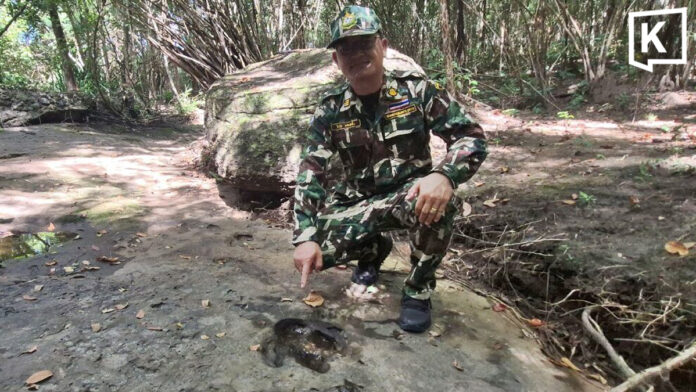 Three more possible dinosaur footprints found in Udon Thani forest