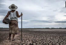 WMO warns El Niño may intensify through February 2027 WMO warns El Niño may intensify through February 2027