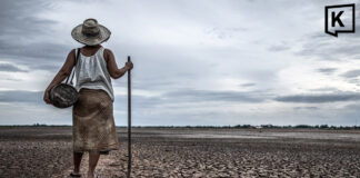 WMO warns El Niño may intensify through February 2027 WMO warns El Niño may intensify through February 2027