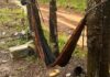 Cambodian rubber worker killed by lightning strike in Trat