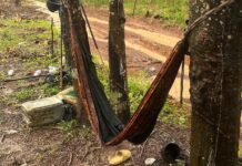 Cambodian rubber worker killed by lightning strike in Trat