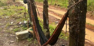 Cambodian rubber worker killed by lightning strike in Trat