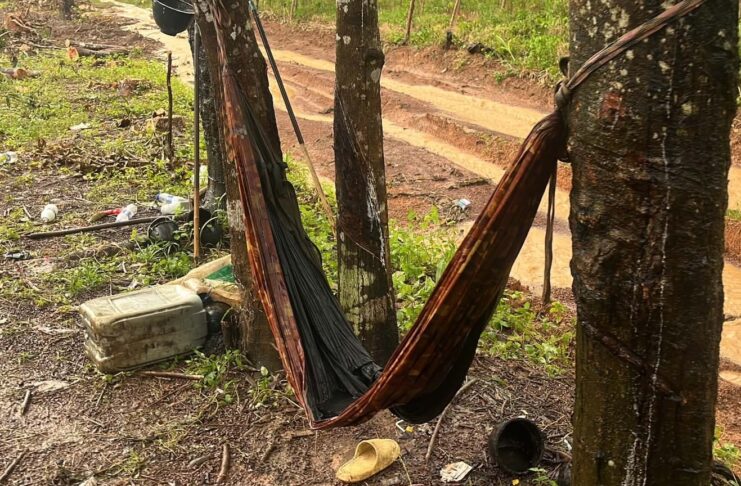 Cambodian rubber worker killed by lightning strike in Trat