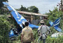 Thai-German pilot injured in small plane crash near Pattaya airfield