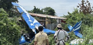Thai-German pilot injured in small plane crash near Pattaya airfield