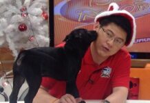 Popular TV Presenter Wins Case Against MCOT