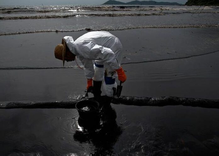 An official during the cleanup operation on Koh Samet, 30 July 2013 (AFP)