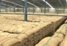 Govt Rice Fund 'Not Enough' To Pay Farmers