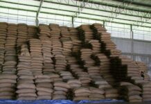 World Bank Expert: Rice Payment Will Increase Thai GDP