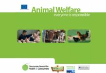EU – Thailand Cooperation on Animal Welfare