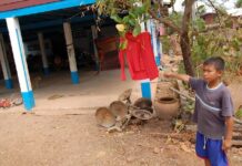 Sakon Nakhorn Village Gripped By Fear Of Temple Curse