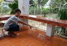 Demand For Thai Dog Breed Soars Thanks To Botched Burglary