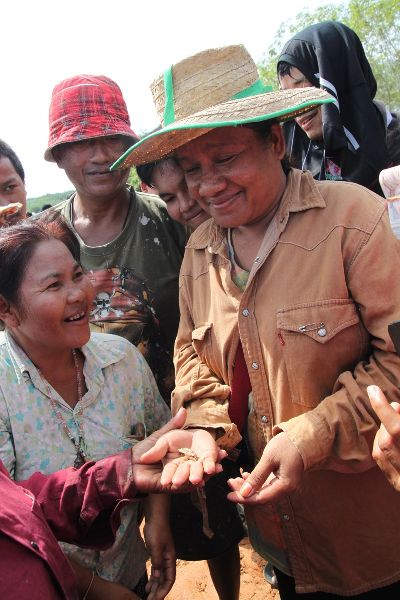 Gold plates found in Patthalung province, May 28 2014.