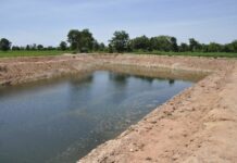 Mythical Beast Found In Construction Pool, Villagers Say