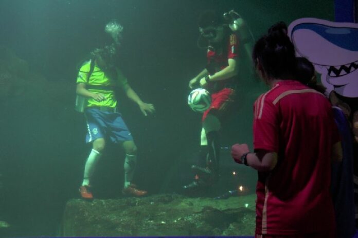 Divers play football in Chiang Mai Zoo aquarium in anticipation of the FIFA World Cup.
