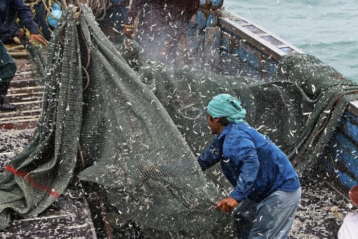 A handout photo made available 19 June 2013 by environmental group Greenpeace shows a trawl fisherman in the Gulf of Thailand off the coast of Koh Samui in Surat Thani, Thailand, 17 June 2013s. Thai food giant CP Foods is fending off allegations it was complicit in forced labour in its supply chain, levelled by a British newspaper. EPA/ATHIT PERAWONGMETHA/GREENPEACE/HANDOUT