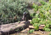 New Lead in Missing Karen Activist Case
