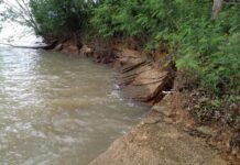 Storm Destroys Krabi's 75 Million Year Old Fossil Site