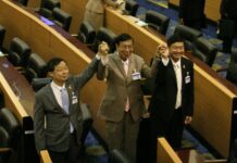 Hardline Royalist Elected Head of NLA